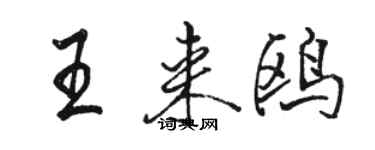 骆恒光王来鸥行书个性签名怎么写