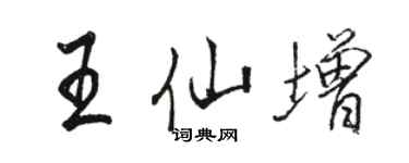 骆恒光王仙增行书个性签名怎么写