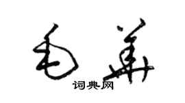 梁锦英毛华草书个性签名怎么写