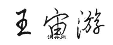 骆恒光王宙游行书个性签名怎么写