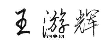 骆恒光王游辉行书个性签名怎么写