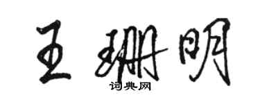 骆恒光王珊明行书个性签名怎么写