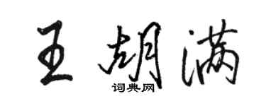骆恒光王胡满行书个性签名怎么写