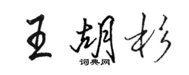 骆恒光王胡杉行书个性签名怎么写