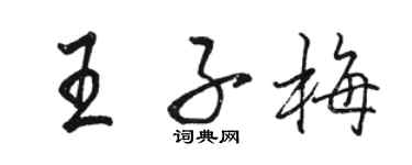 骆恒光王子梅行书个性签名怎么写