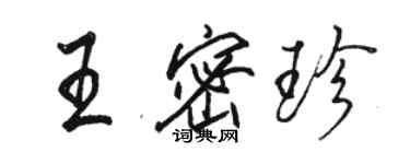 骆恒光王密珍行书个性签名怎么写