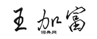 骆恒光王加富行书个性签名怎么写