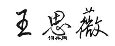 骆恒光王思薇行书个性签名怎么写