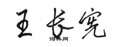 骆恒光王长宪行书个性签名怎么写