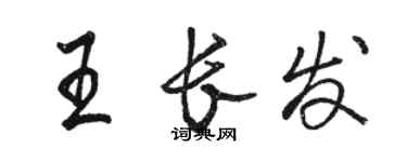 骆恒光王长发行书个性签名怎么写