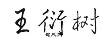 骆恒光王衍树行书个性签名怎么写
