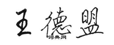 骆恒光王德盟行书个性签名怎么写