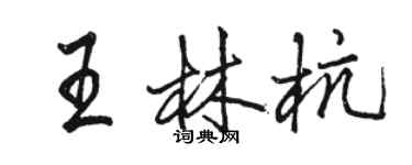 骆恒光王林杭行书个性签名怎么写