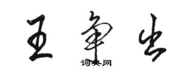 骆恒光王争出行书个性签名怎么写