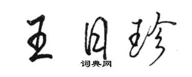 骆恒光王日珍行书个性签名怎么写