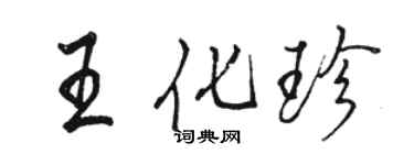 骆恒光王化珍行书个性签名怎么写