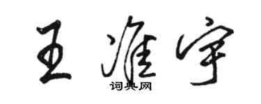 骆恒光王准宇行书个性签名怎么写