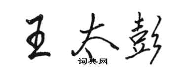 骆恒光王太彭行书个性签名怎么写