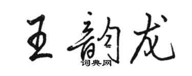 骆恒光王韵龙行书个性签名怎么写