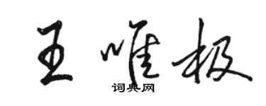骆恒光王唯极行书个性签名怎么写