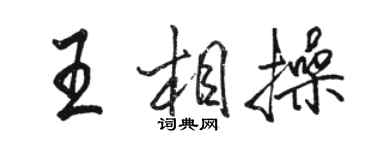 骆恒光王相操行书个性签名怎么写
