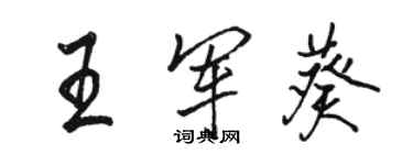 骆恒光王军葵行书个性签名怎么写