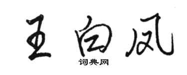 骆恒光王白凤行书个性签名怎么写