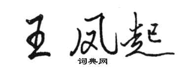 骆恒光王凤起行书个性签名怎么写
