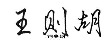 骆恒光王则胡行书个性签名怎么写
