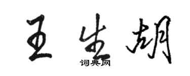 骆恒光王生胡行书个性签名怎么写
