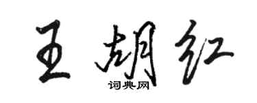 骆恒光王胡红行书个性签名怎么写