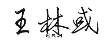 骆恒光王林或行书个性签名怎么写