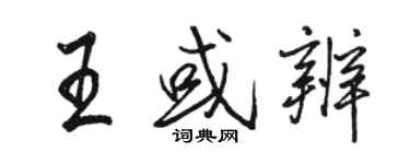 骆恒光王或辨行书个性签名怎么写