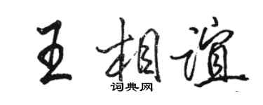骆恒光王相谊行书个性签名怎么写