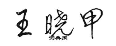 骆恒光王晓甲行书个性签名怎么写