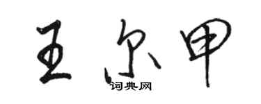 骆恒光王尔甲行书个性签名怎么写