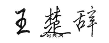 骆恒光王楚辞行书个性签名怎么写