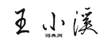 骆恒光王小溪行书个性签名怎么写
