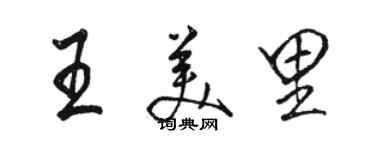 骆恒光王美里行书个性签名怎么写