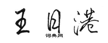 骆恒光王日港行书个性签名怎么写