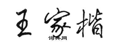 骆恒光王家楷行书个性签名怎么写