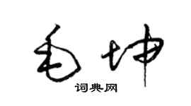 梁锦英毛坤草书个性签名怎么写