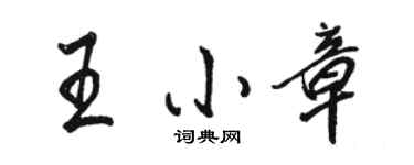 骆恒光王小章行书个性签名怎么写