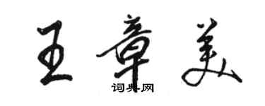骆恒光王章美行书个性签名怎么写