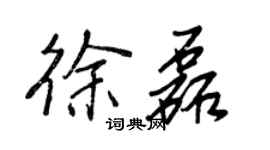 王正良徐磊行书个性签名怎么写
