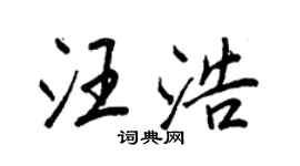 王正良汪浩行书个性签名怎么写