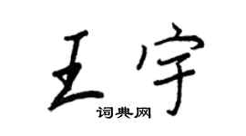 王正良王宇行书个性签名怎么写