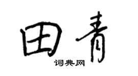 王正良田青行书个性签名怎么写