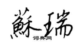 王正良苏瑞行书个性签名怎么写