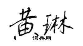 王正良黄琳行书个性签名怎么写